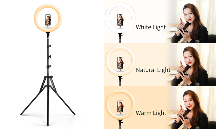 18インチLEDセルフィーリングライト、メイクアップライト、 - Ring Light 18 Inch Studio のレビューと価格